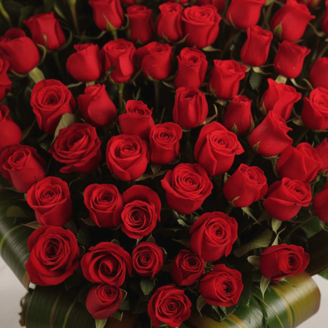 corazón carmesí corazón carmesí