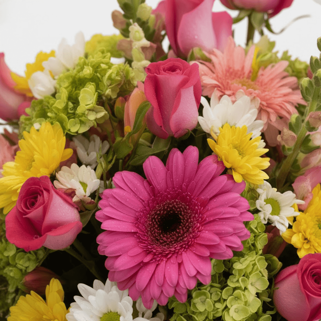 ecos de jardín ecos de jardín