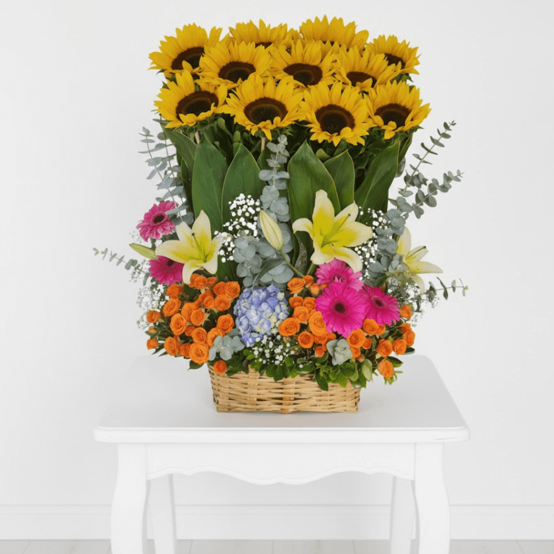 rayito de sol rayito de sol