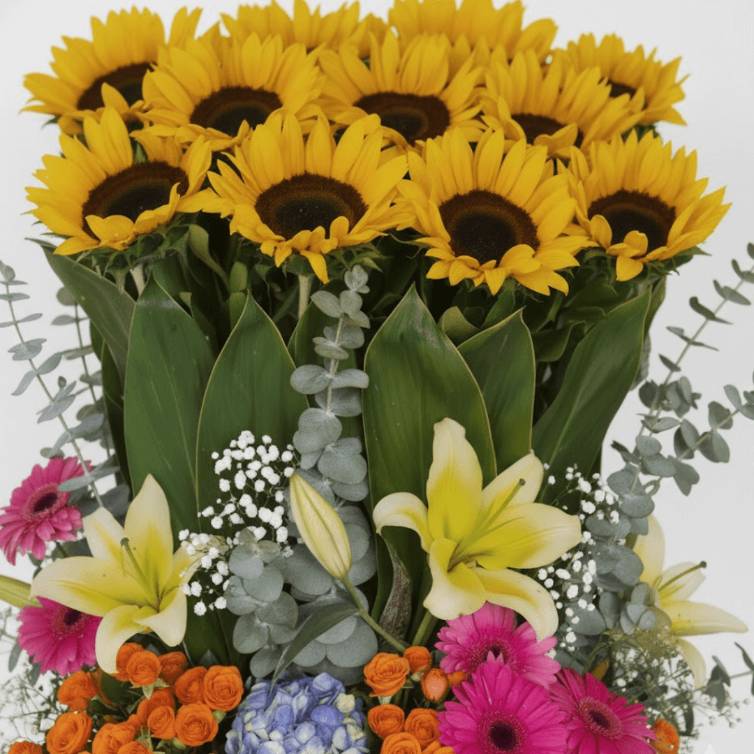 rayito de sol rayito de sol