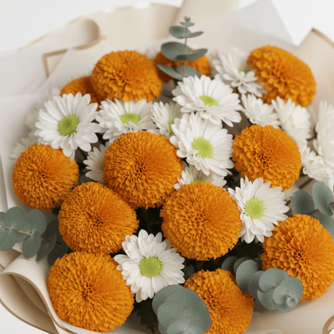 cempasúchil dorado cempasúchil dorado