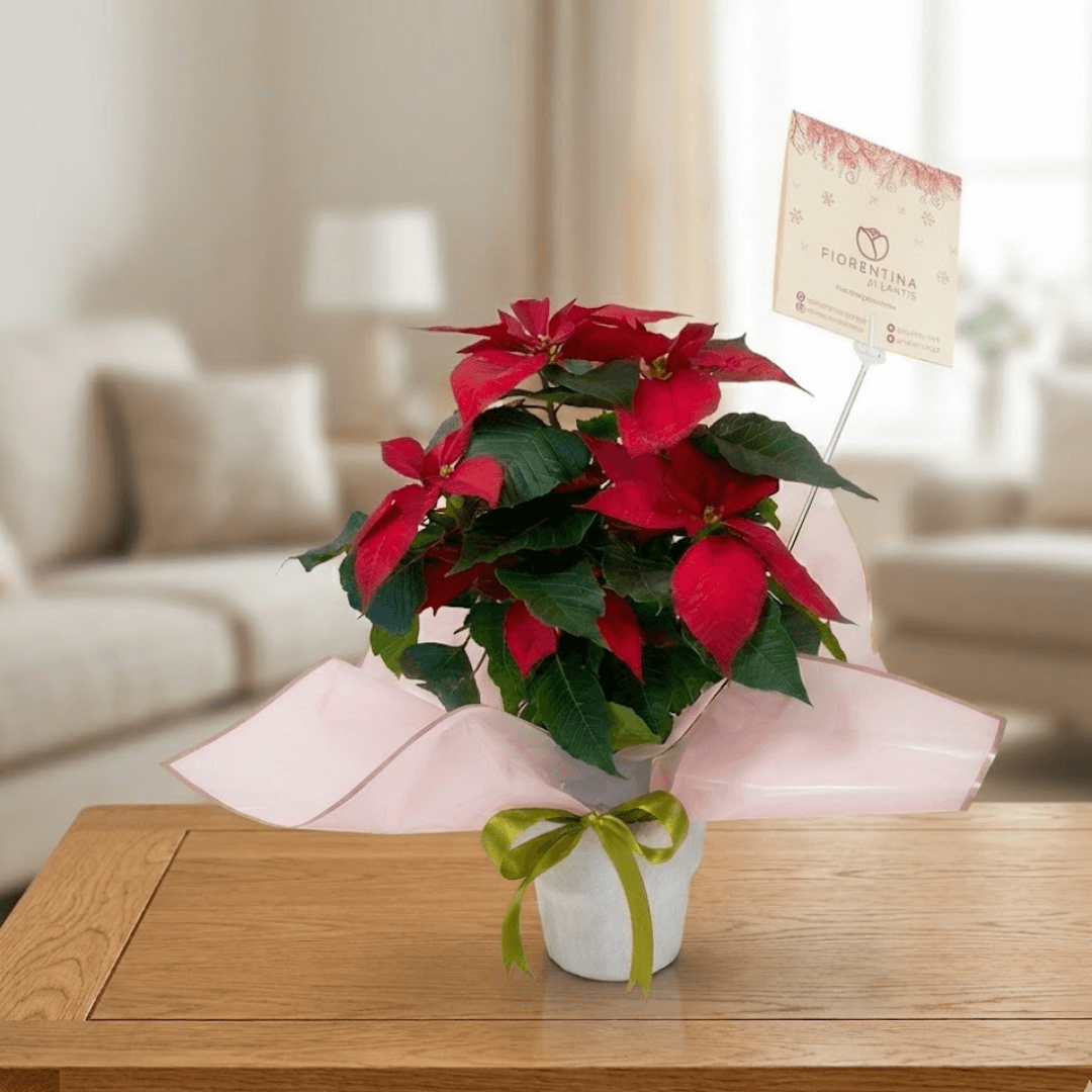 auto draft auto draft