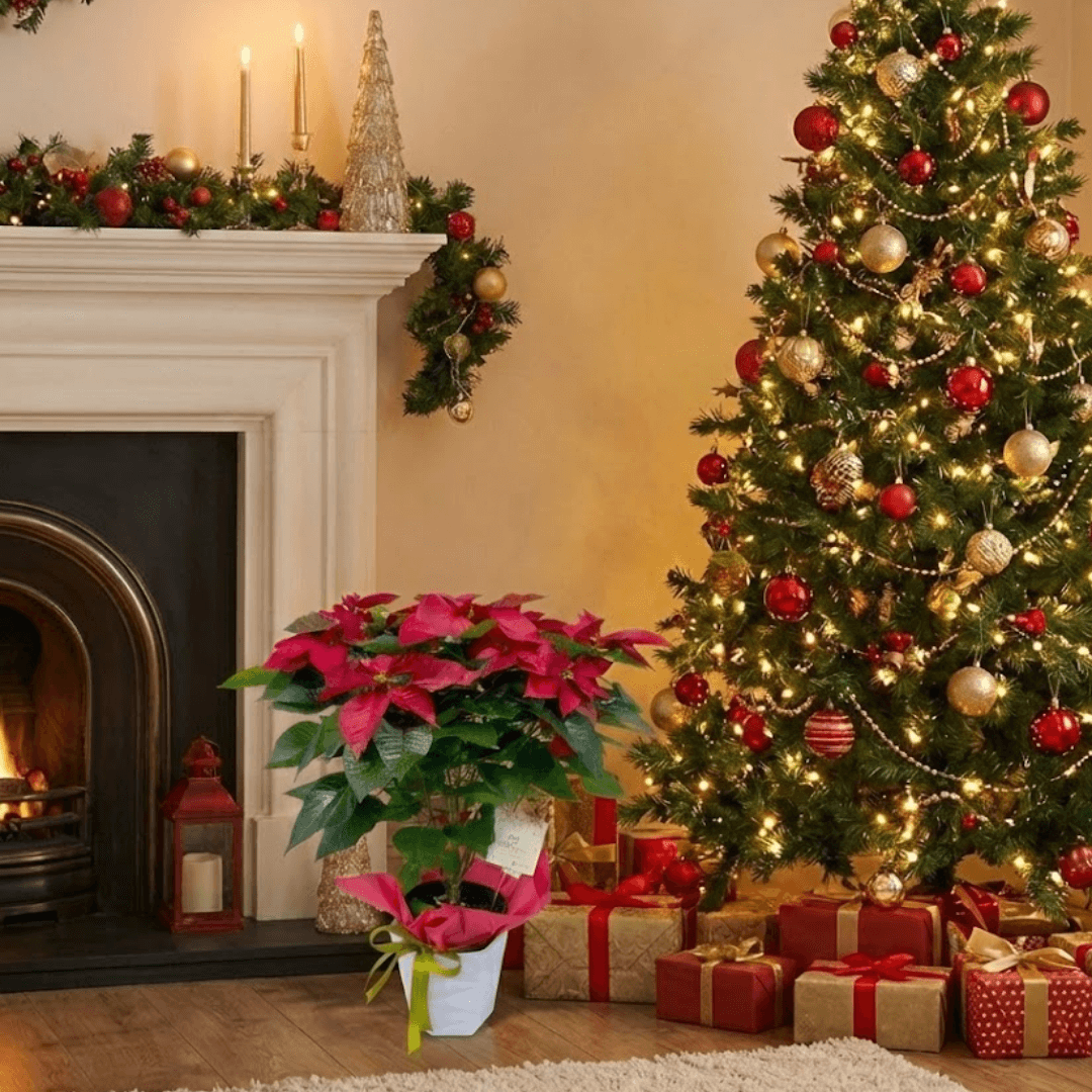 auto draft auto draft