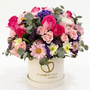 Rosa Encanto